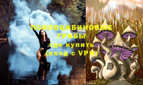 экстази Зеленокумск